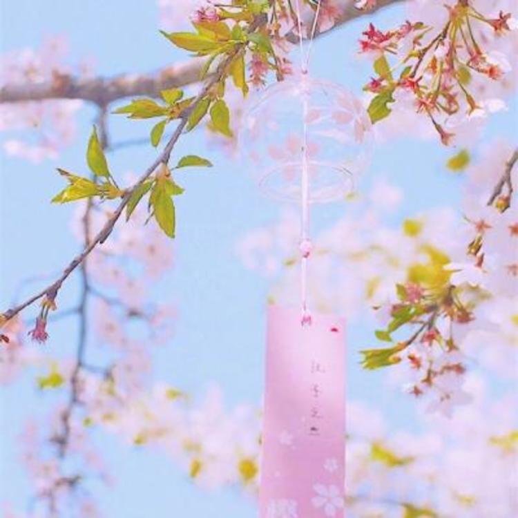 新井赤空（身份：逆刃刀制作者、赠与剑心） - 韩剧TV高清在线观看 - 网页追剧